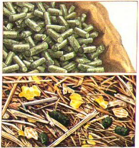 A variety of soft foods 1