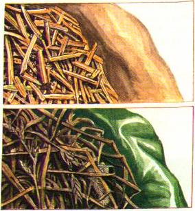 A variety of soft foods 2