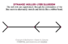 Dynamic_muller_lyer2B.gif