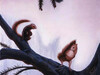 Squirrels-optical-illusion.jpg