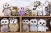 spot_the_owl.webp